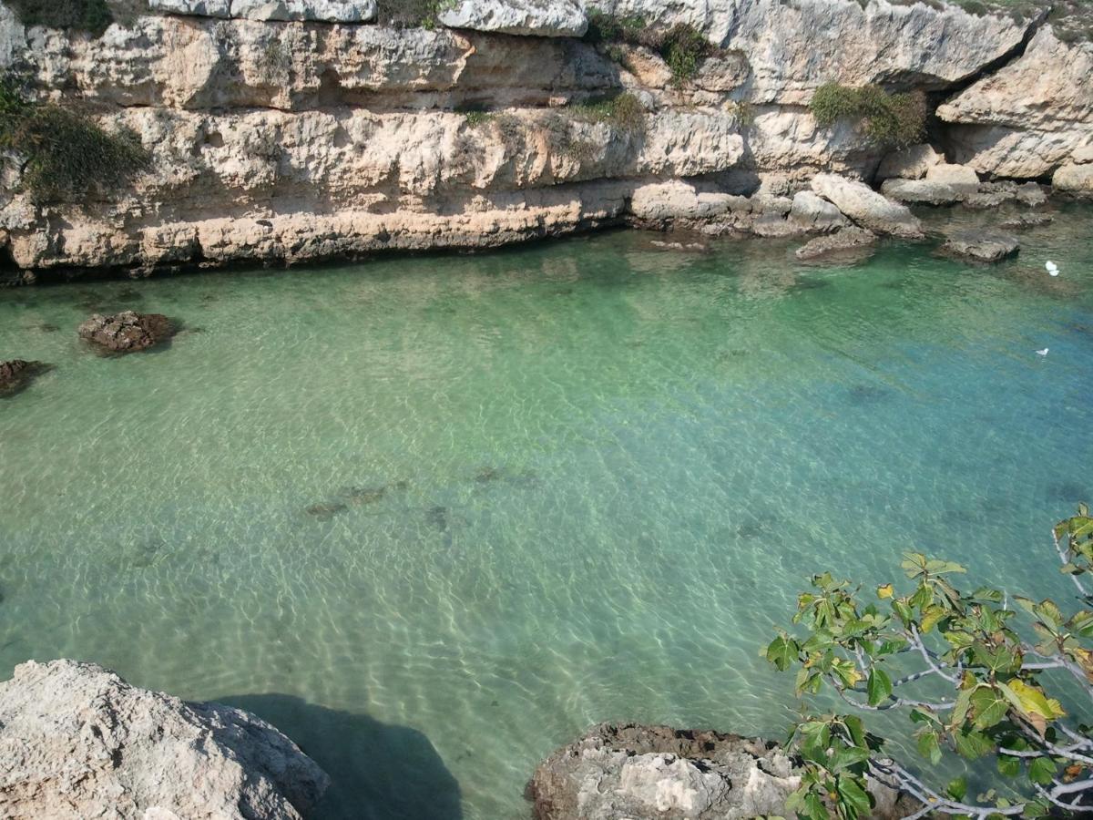 Terrazza Dolce Vista Lejlighed Monopoli Eksteriør billede